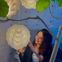 @anitaregmi70