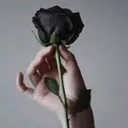 @elarajean208