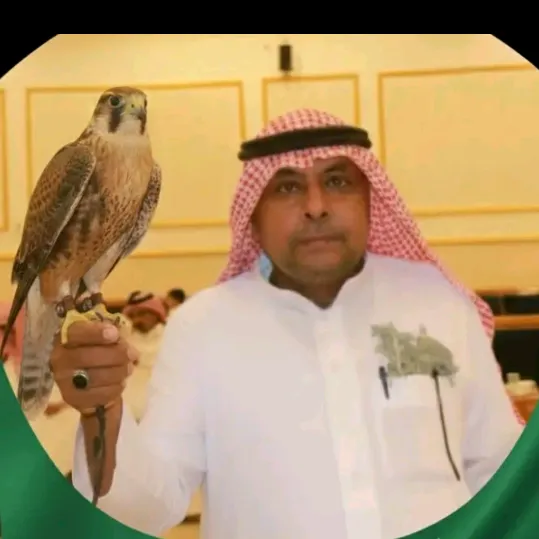 @user3416346150050