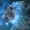 waqasbashir210