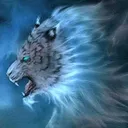 @waqasbashir210