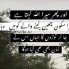 mughalzadiii241