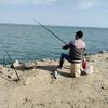 ulik_884