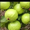 @user3557274670831