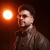 ahmedsheko5