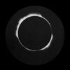 nocturnel89