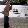 sabwnaredux