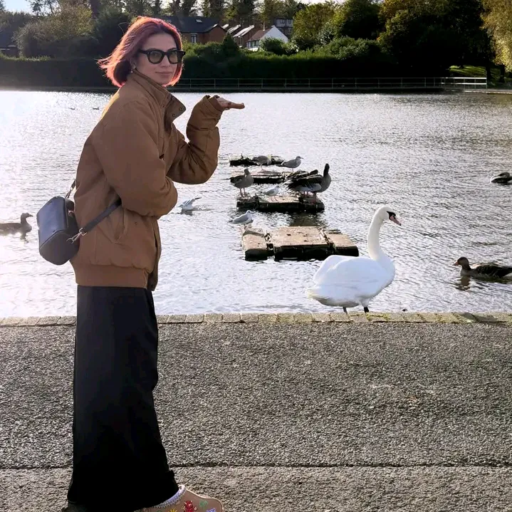 sabwnaredux