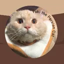 @yukithepersiancat