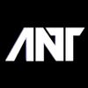 ant_c07