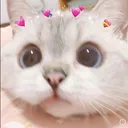 @merissa1901