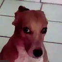 @bkehhe