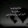nafeessardar3