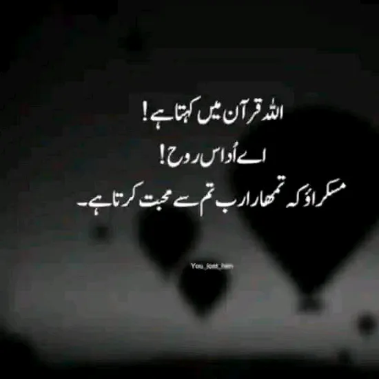 @nafeessardar3