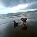 @tatang.wijaya44