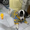 @ckuckucku123