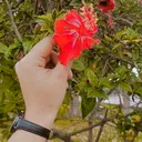 @malik_rashid68