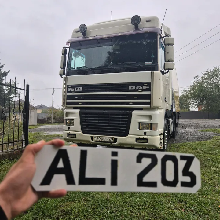 aliagayev203