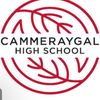 cammeraygalyr7ships