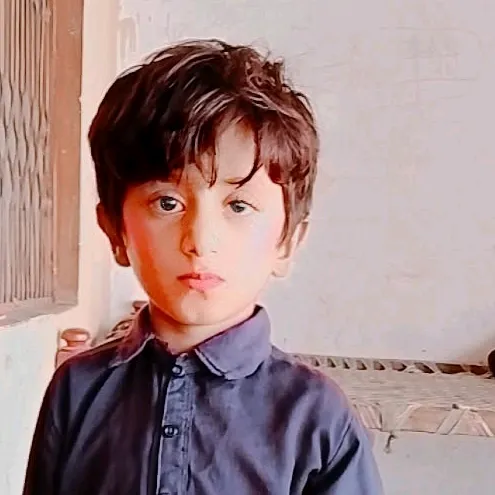 uzairali8688