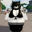 @roblox.r641
