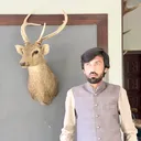 @razahussainchattha6