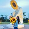 ann.sekar