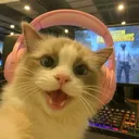 @seus_cortess