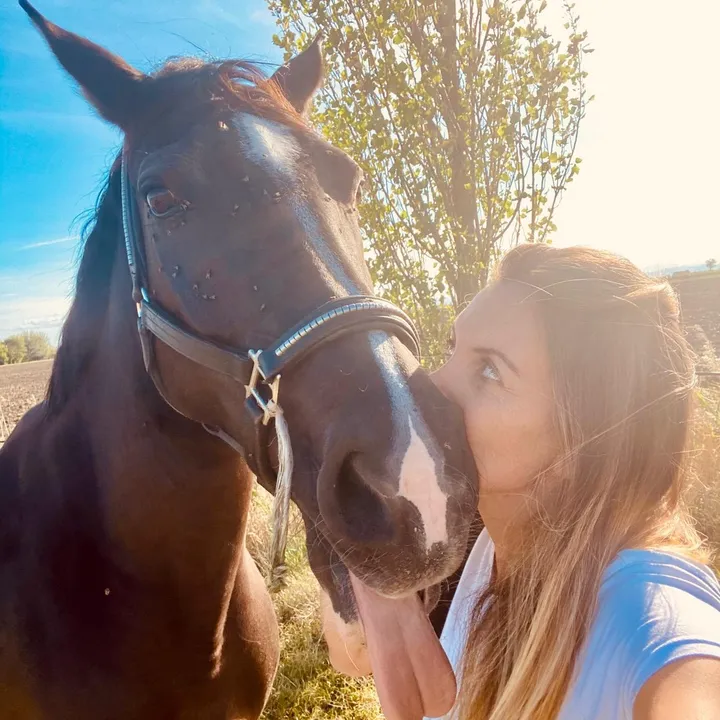 isabellevet7
