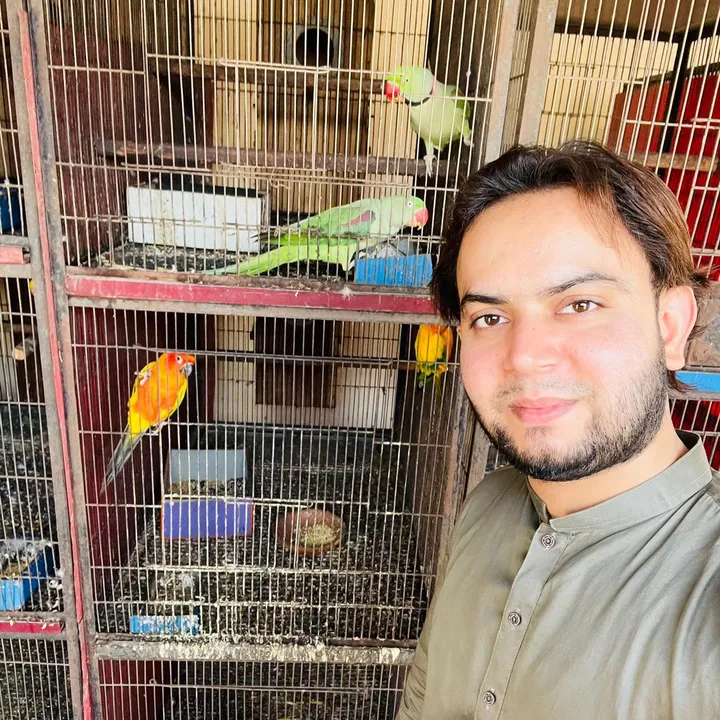 @sanaullahsafdar
