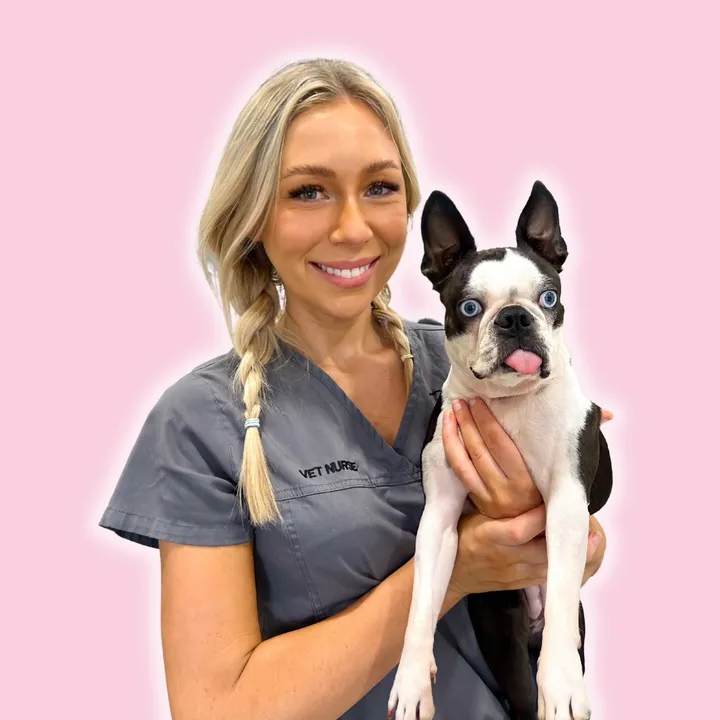 tessvetnurse