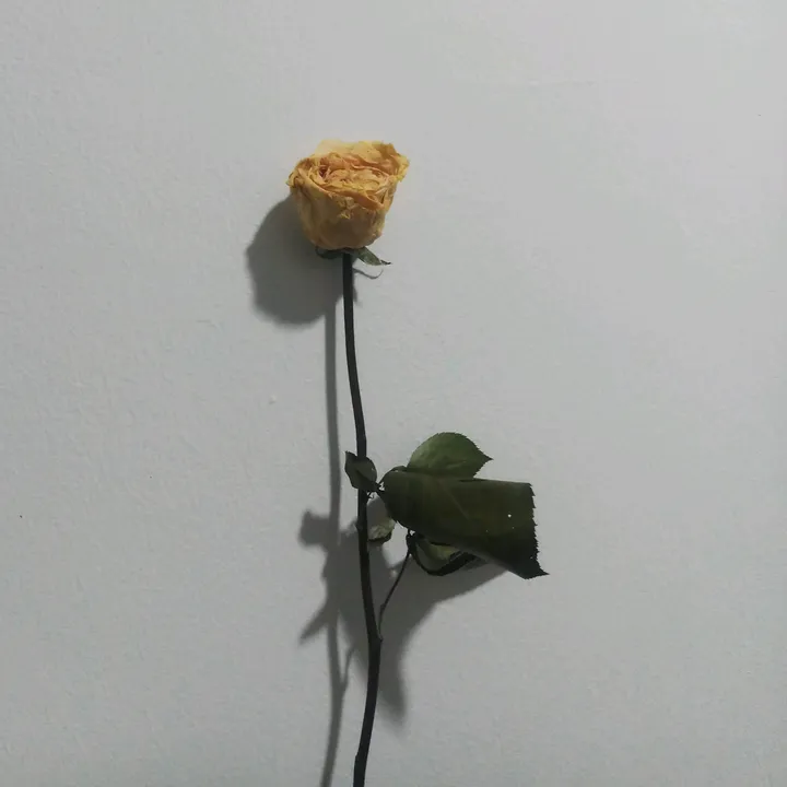 hiella01