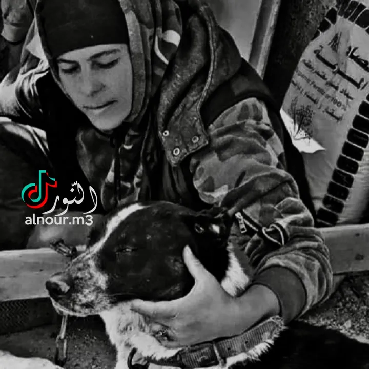 @alnour.m3