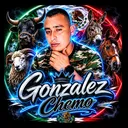 @gonzalez_chemo
