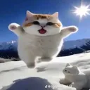 @jebasikk