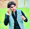 halmandawar88