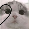 musume._oficial