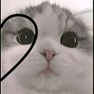 zira._ofc0