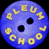 pleumschool