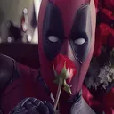 @cat_goth79
