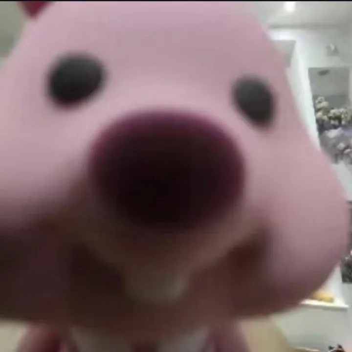 @alewoo_010