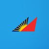 flypalvirtual