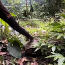 @anakhutan99