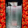 growtube.ru