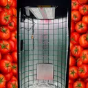 @growtube.ru
