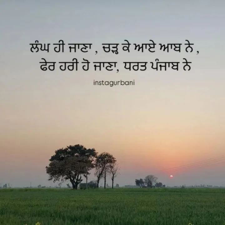 @_z_o_r_a