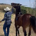@patitogutierrez2