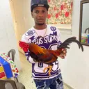 @antoni.rosario6