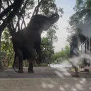 @elephantlovejapanese