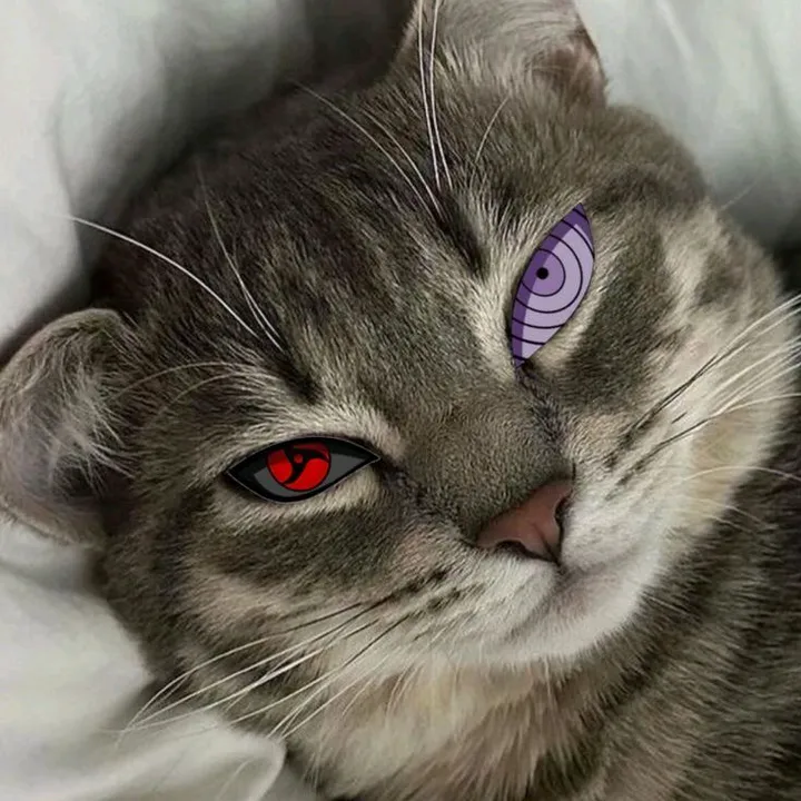 @anomprst